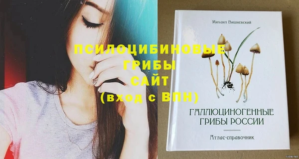 МДМА Армянск