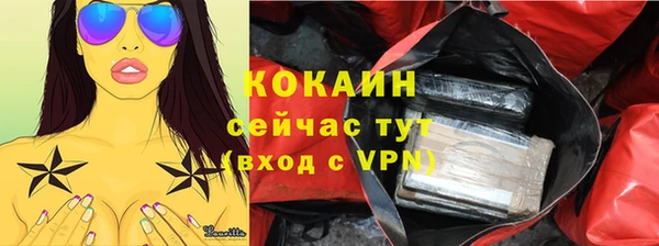 индика Аркадак