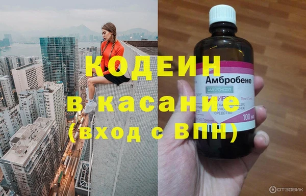 индика Аркадак