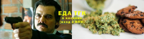 индика Аркадак