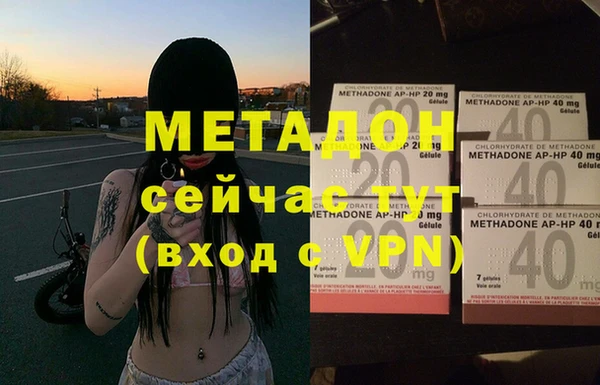 индика Аркадак