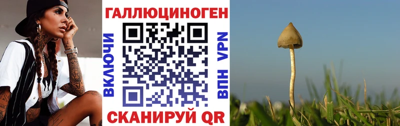 ОМГ ОМГ ONION  где продают наркотики  Омутнинск  Псилоцибиновые грибы ЛСД 